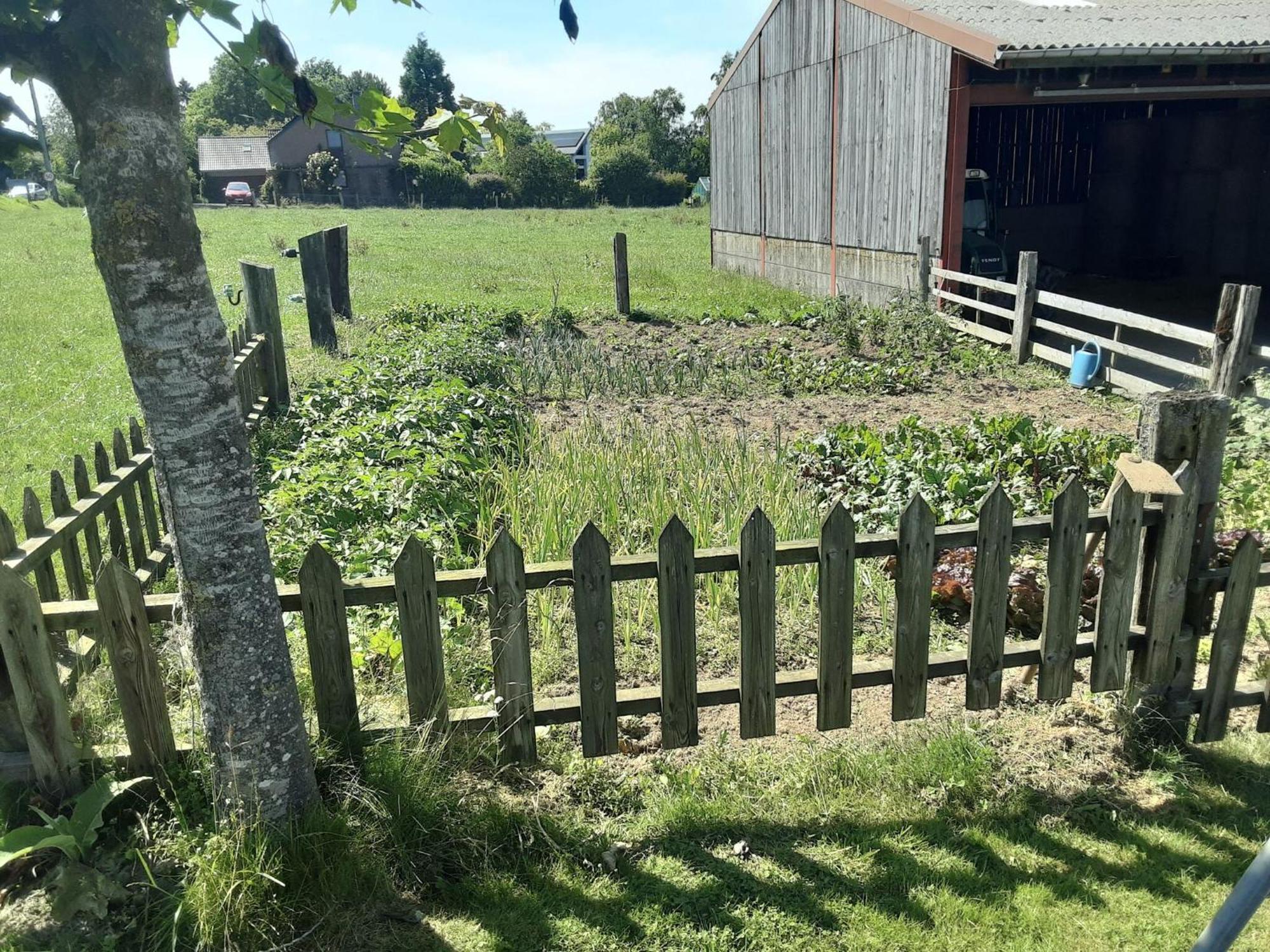 Pretty Farmhouse In Houffalize With Courtyard Eksteriør bilde